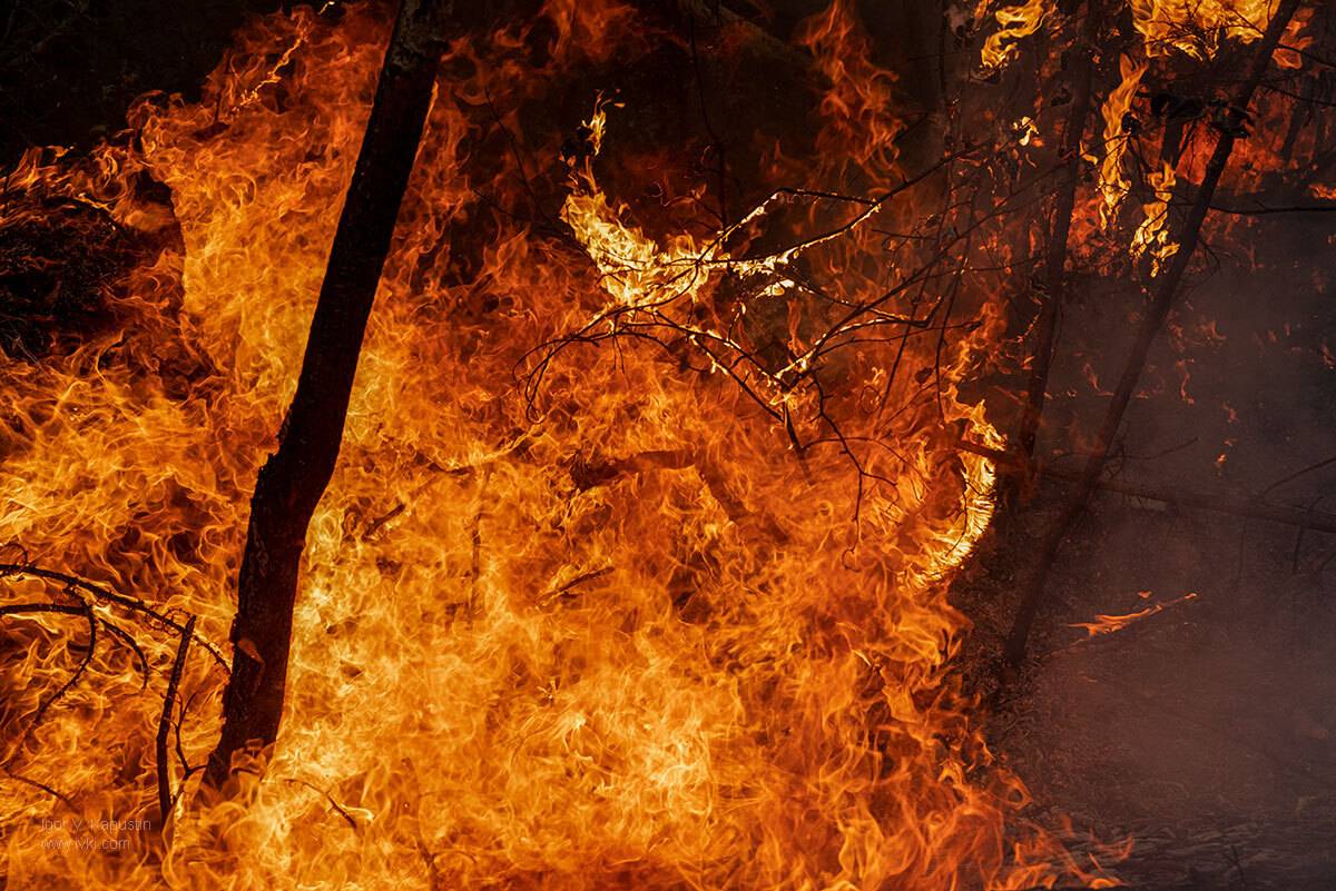 , Капустин Игорь