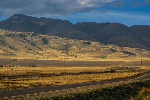 Курайская степь