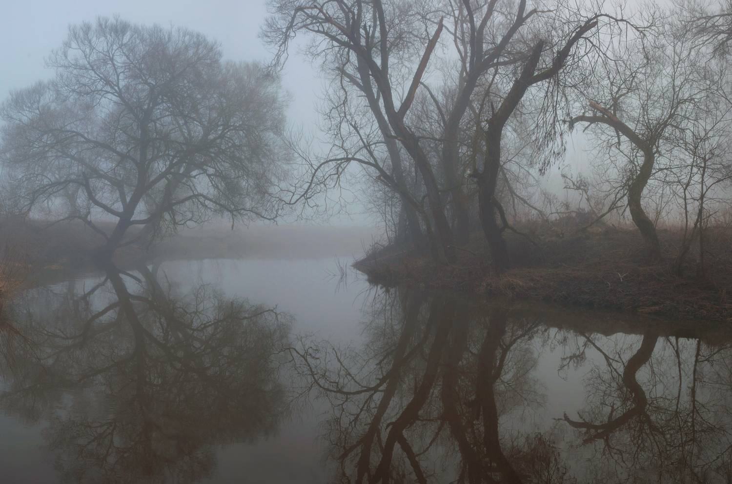 туман, река, весна, Свистков Александр