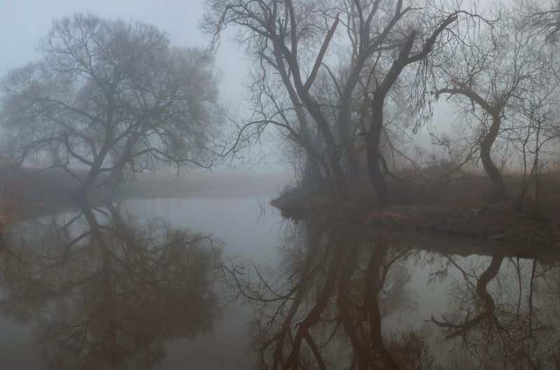 туман, река, весна  фото превью
