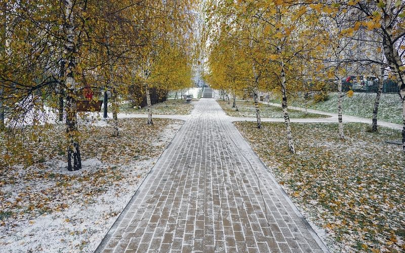 К нам вчера опять зима в гости заходила фото превью