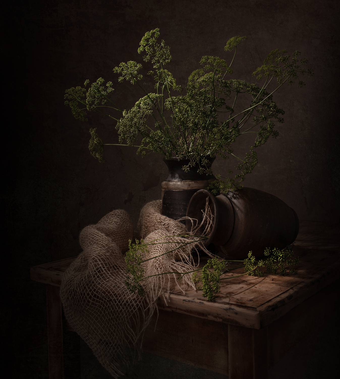 Still life, flowers, parsley, light, shadow, colors, textures, Maria Margareth Perfoncio