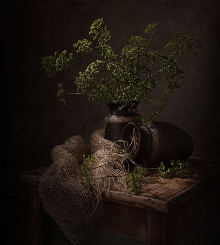 Still life, flowers, parsley, light, shadow, colors, textures Parsley Flower фото превью