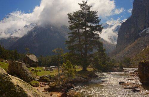 Утро в горах