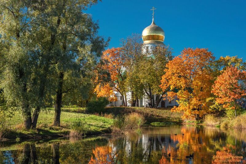 город, архитектура, город пушкин, городской пейзаж, осенний пейзаж, природа, царское село, фермский парк, собор феодоровской иконы божией матери, храмы, пригороды петербурга Осенний Фермский парк. Собор Феодоровской иконы Божией Матери фото превью