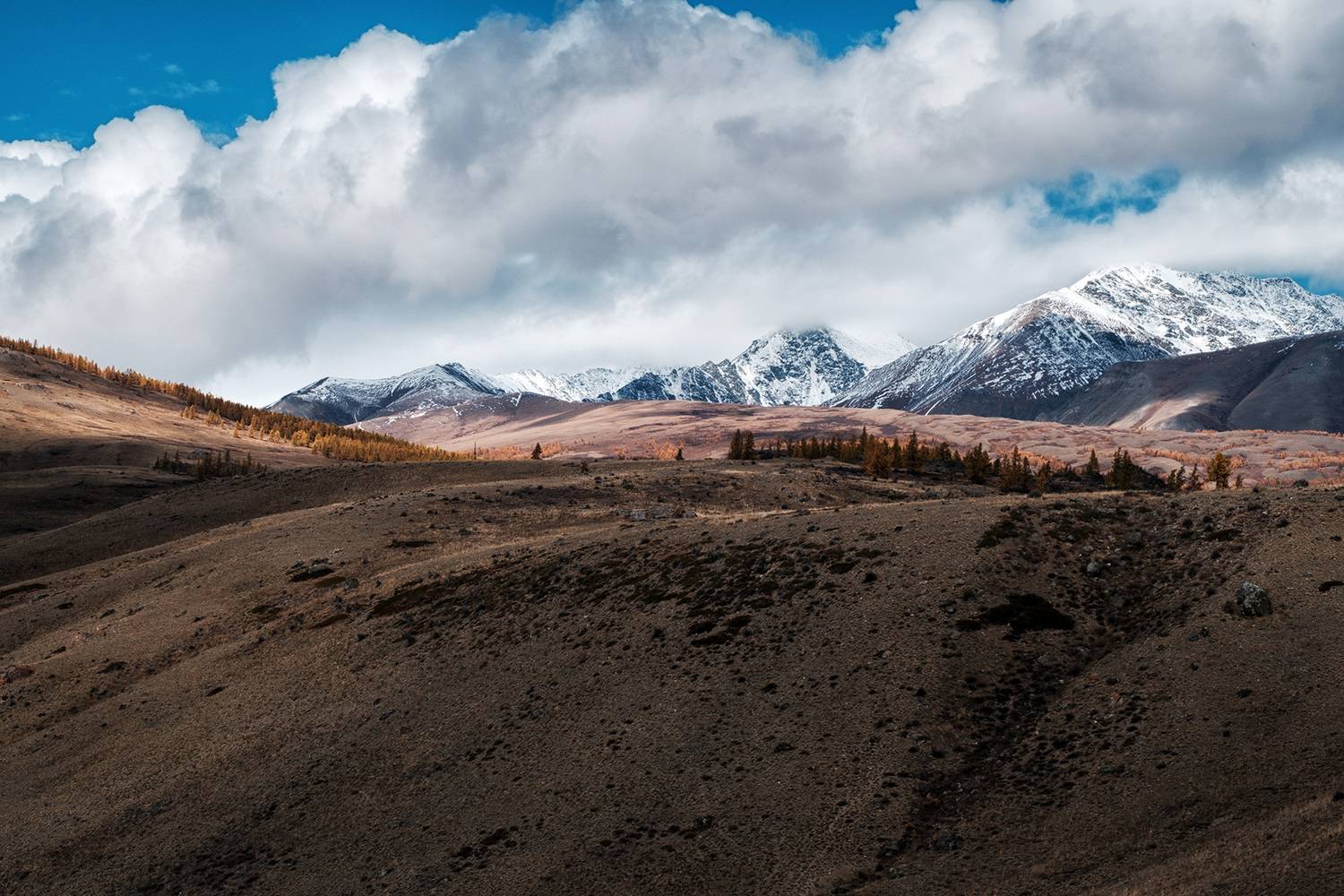 , Бодрягин Виталий