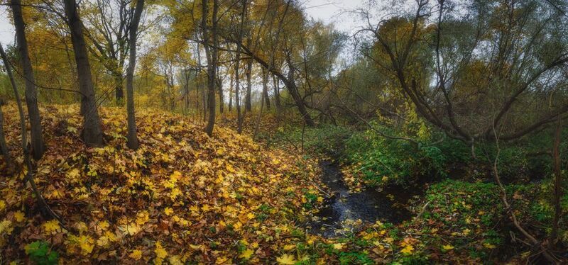 Осень, которая рядом фото превью