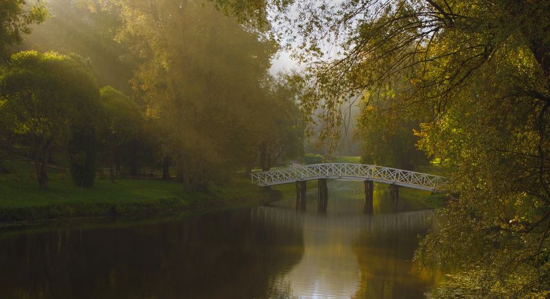 Утро туманное фото превью