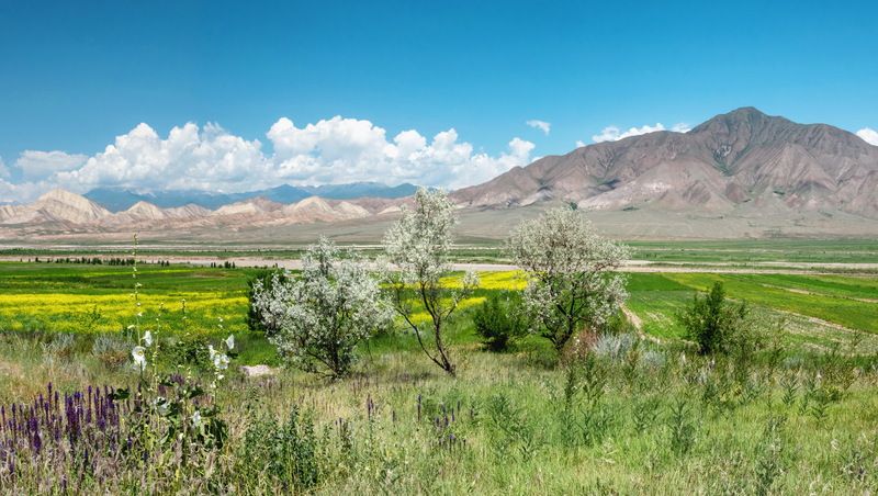 Кыргызстан фото превью
