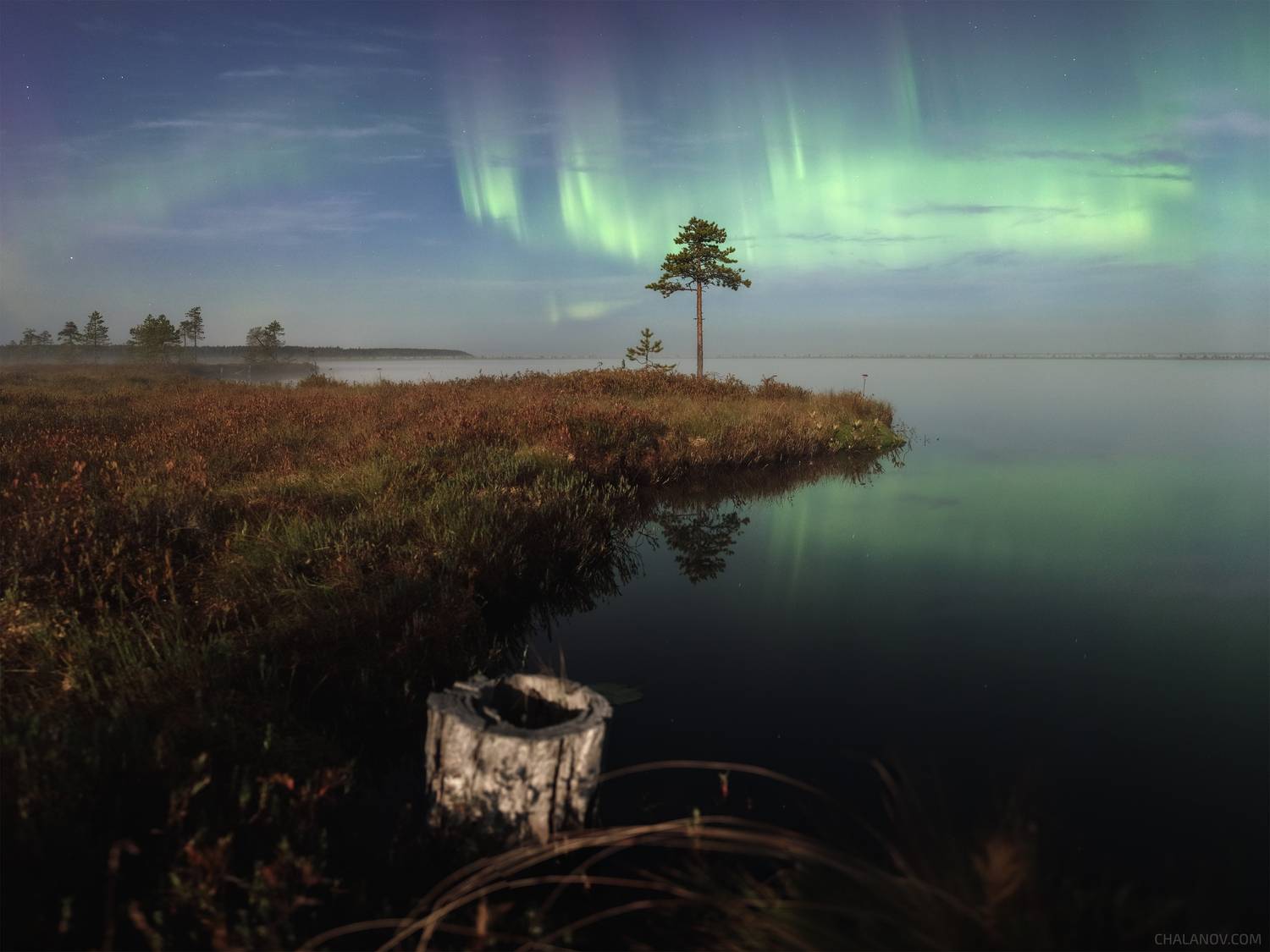пейзаж, северное сияние, ночь, луна, озеро, болото, осень, полярное сияние, Иван Чаланов