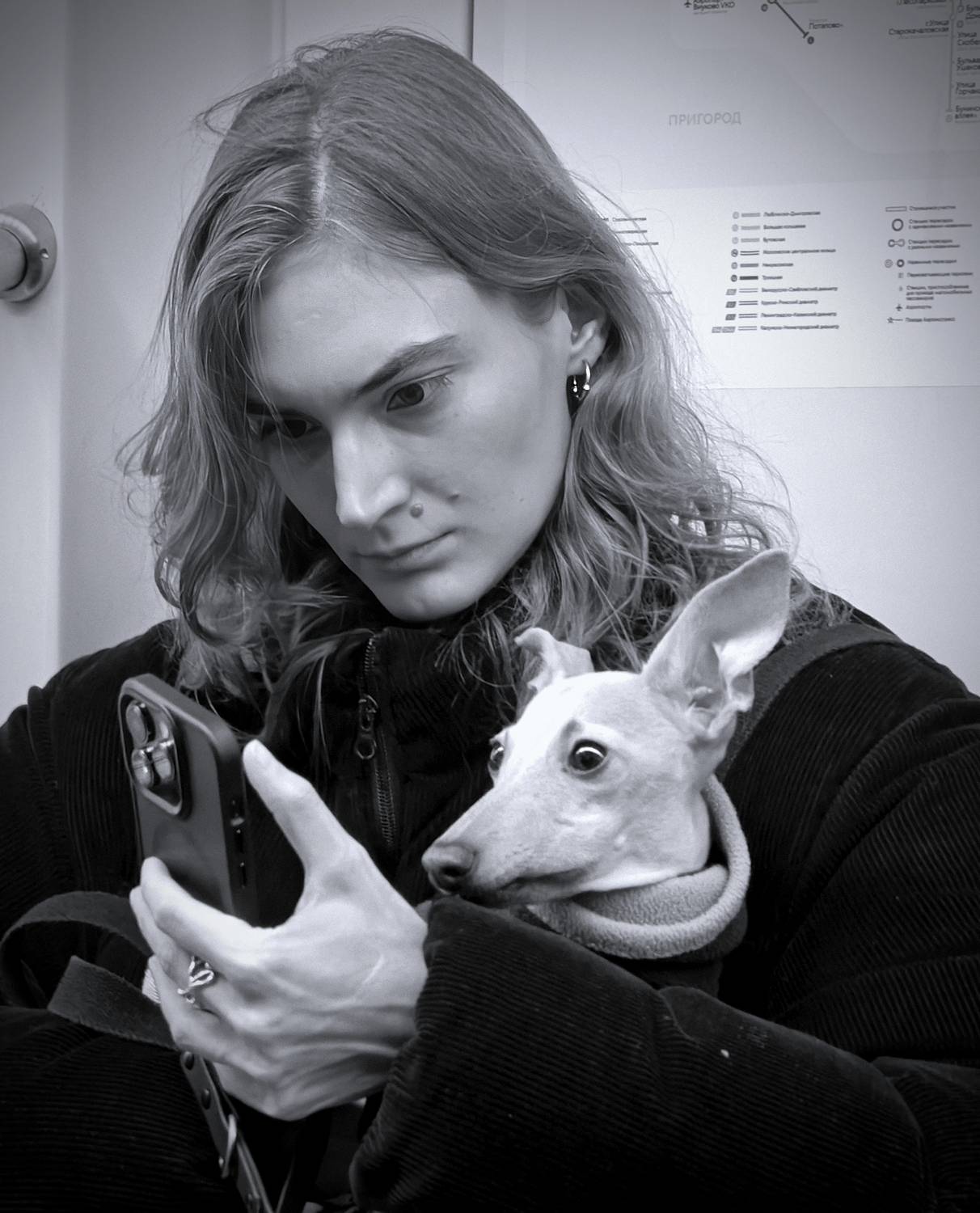 , Евгений Никулин