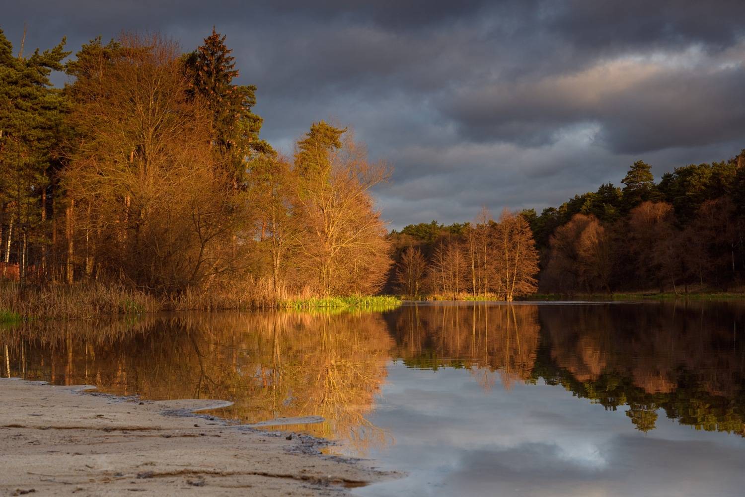 природа, осень, ноябрь, озеро, Сергей Студнев