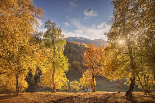 Осенний театр