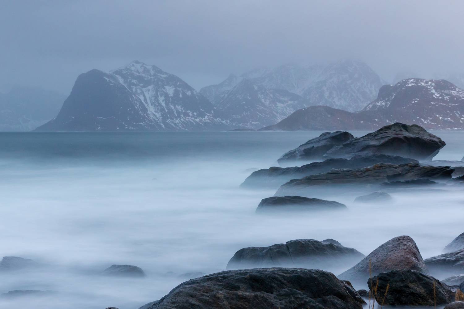 , Евгения Чех