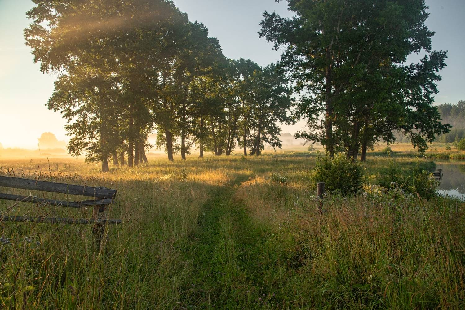 , Малыгин Андрей