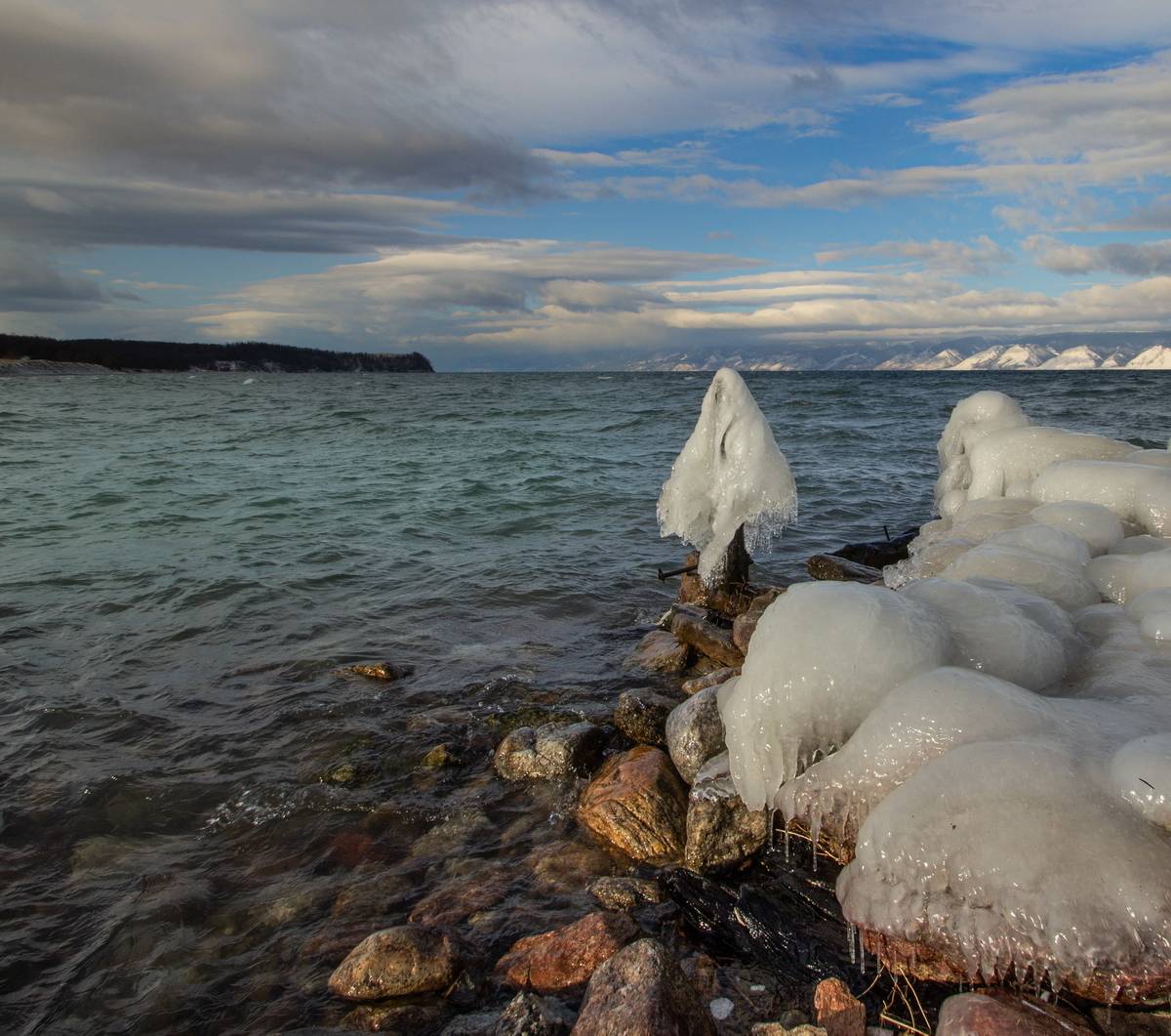 , Трофимов Алексей