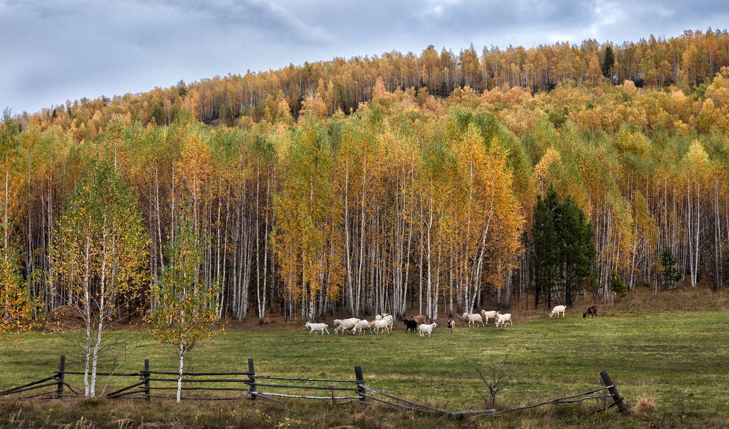 , Ушаков Валерий