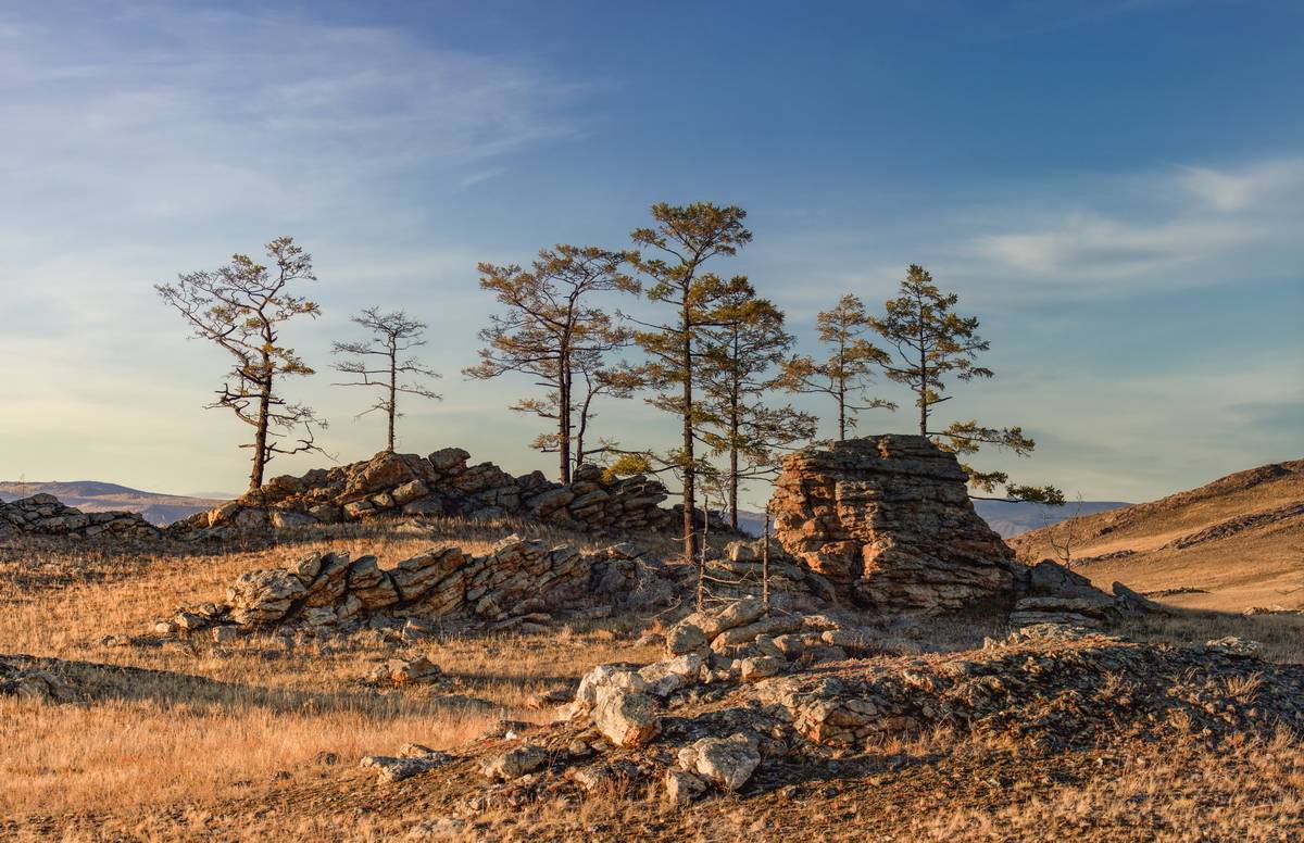 , Трофимов Алексей