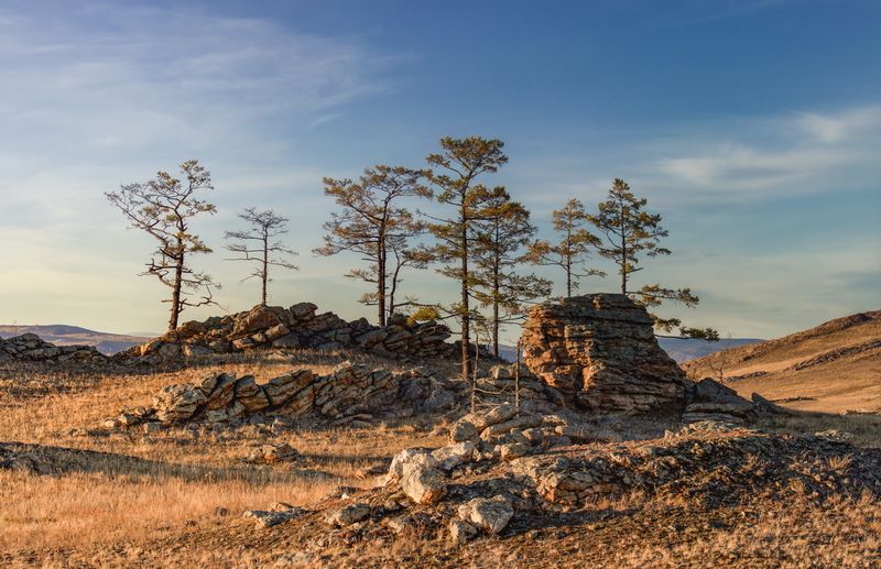 Тажераны фото превью