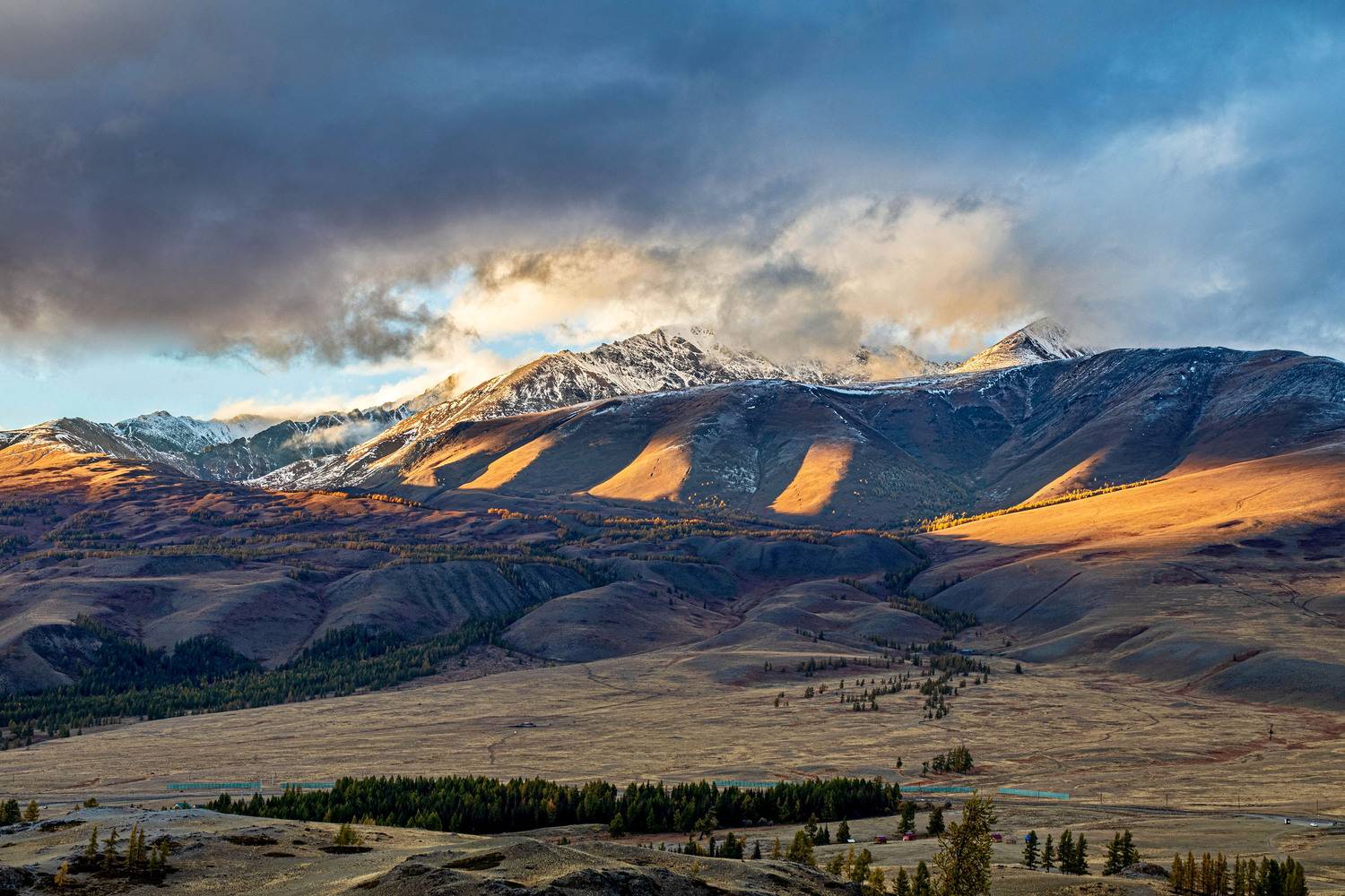 , Добролюбова Тамара