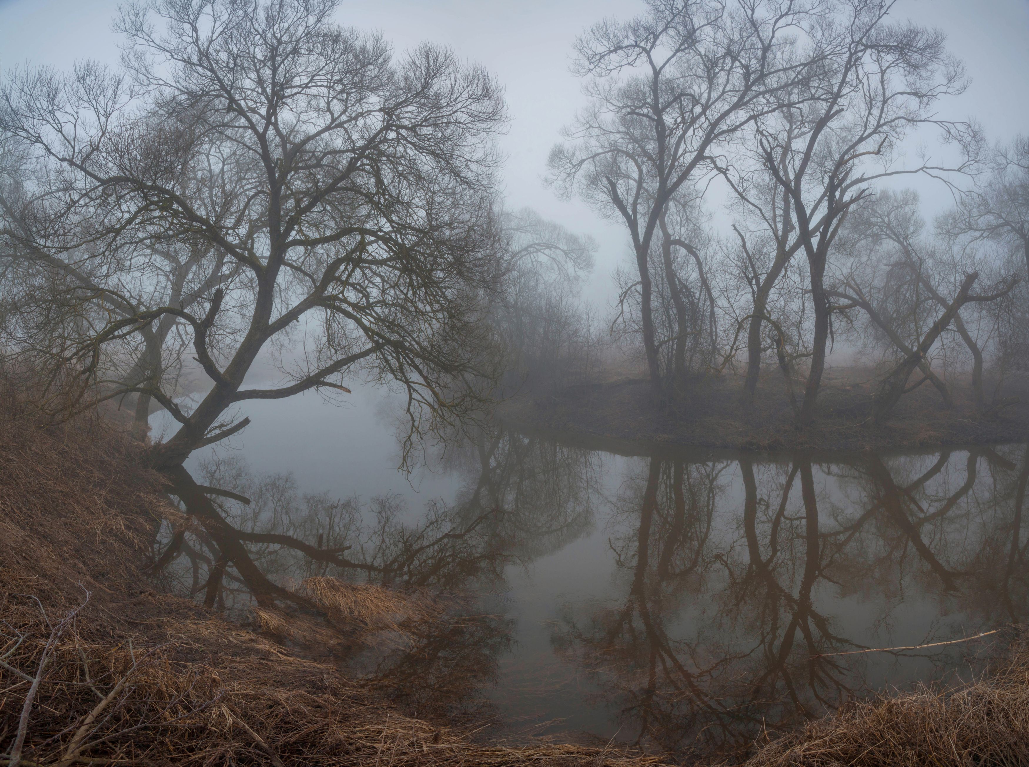 река , туман , весна  фото превью