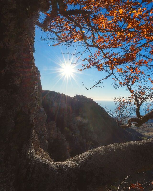 В лучах утреннего солнца фото превью