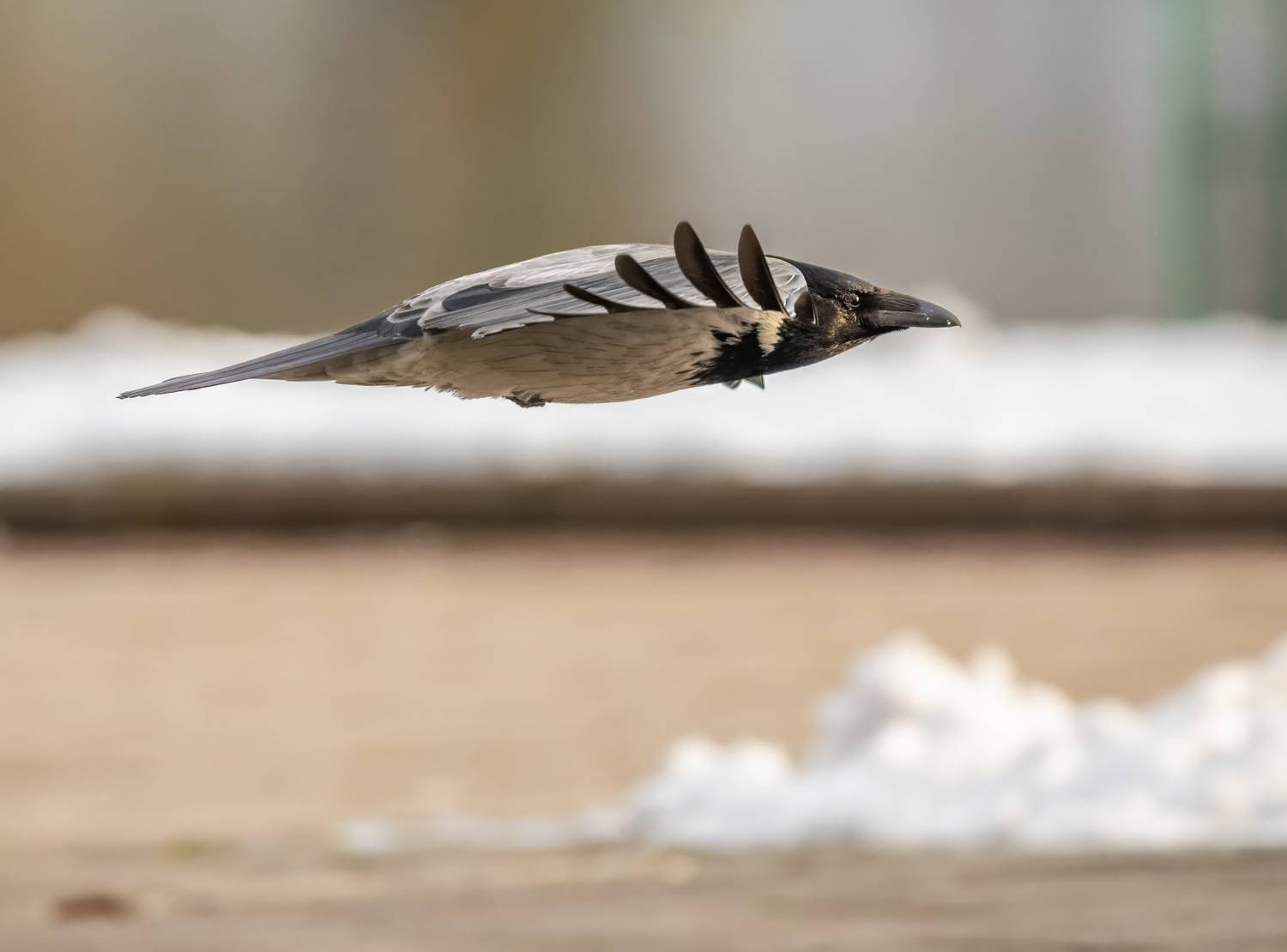 , Дем Константин