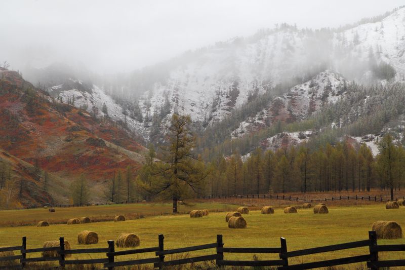 В сентябре на пер. Семинский фото превью