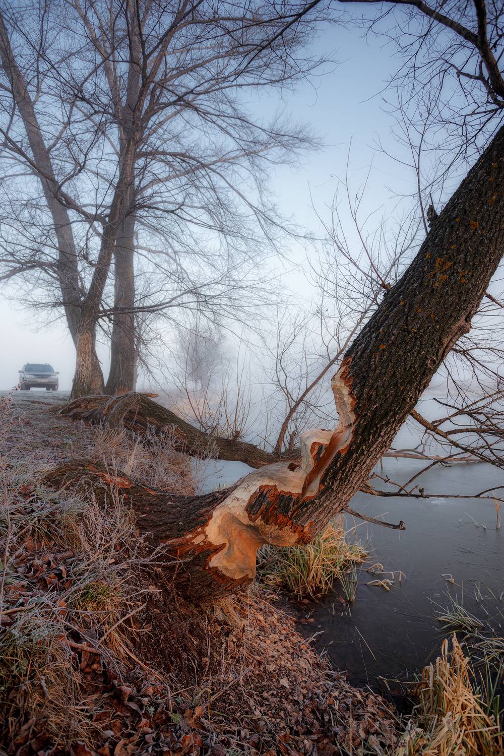 , Никитин Алексей