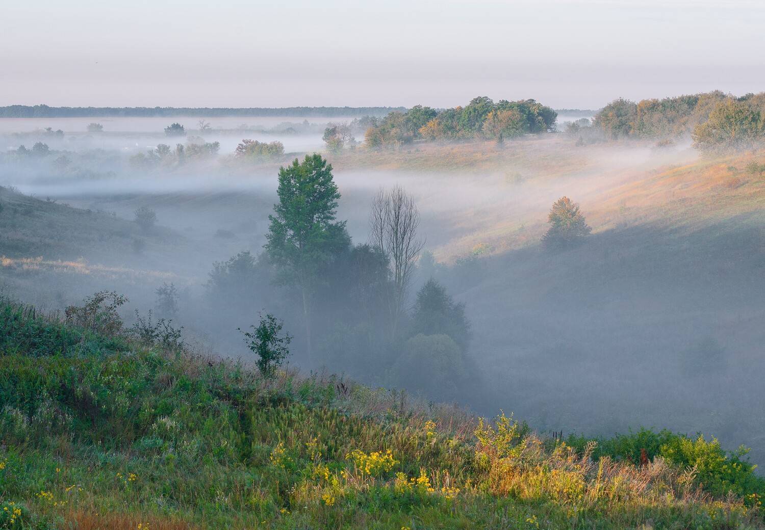 , Роман Игнатьев