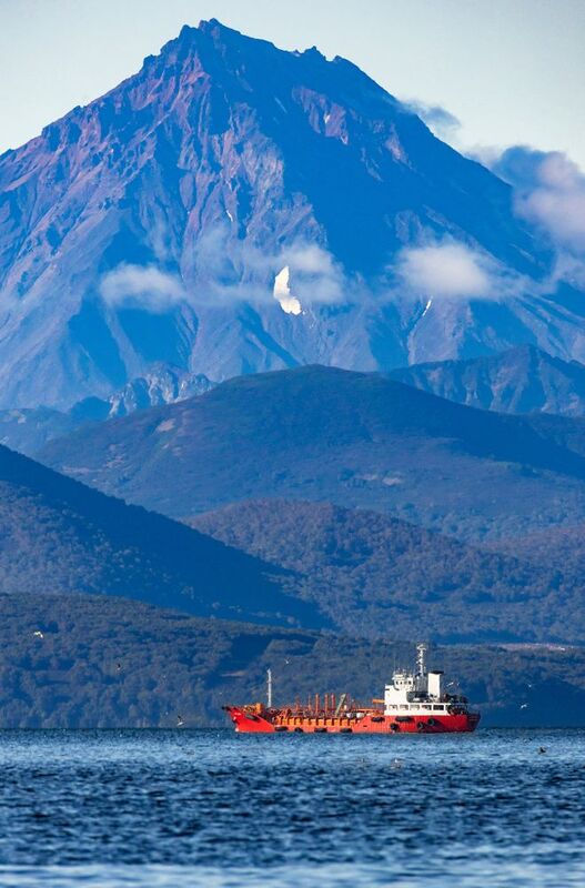 камчатка, вилючинский вулкан, тихий океан, природа, чайки, авачинская бухта, корабль Корабли и вулканы.. фото превью