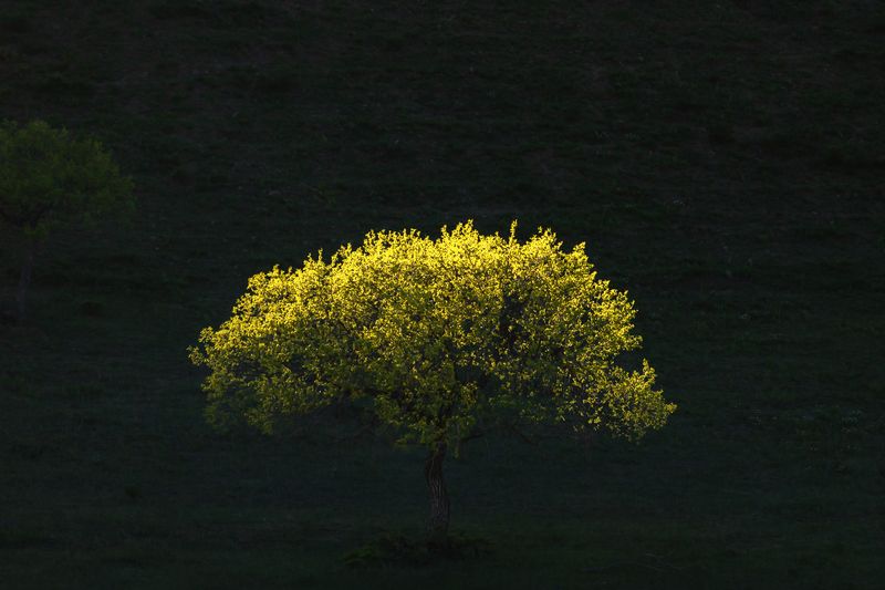 Озаренное фото превью