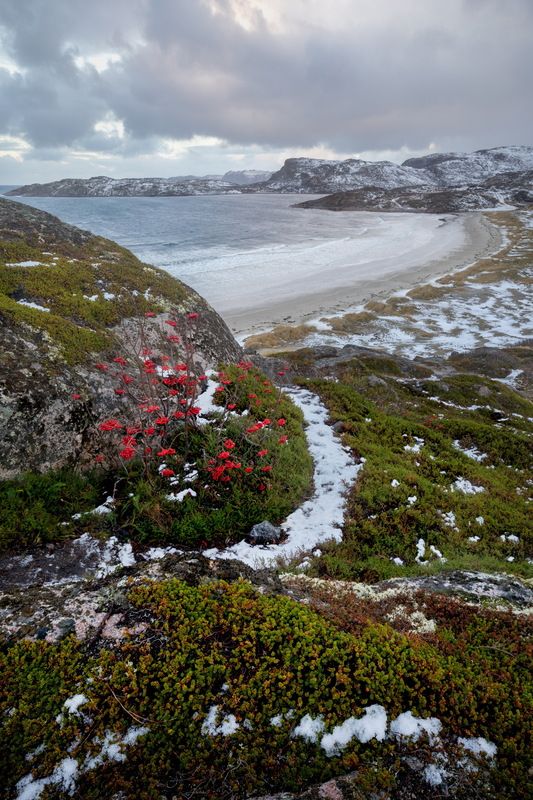 Природа севера фото превью