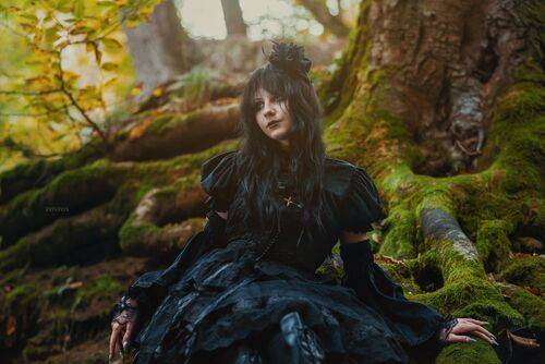 Тайны готического леса