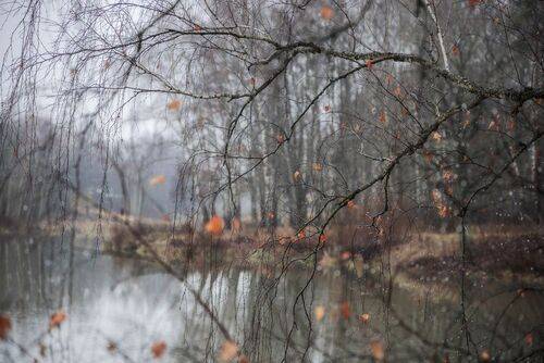 Ноябрьская тоска