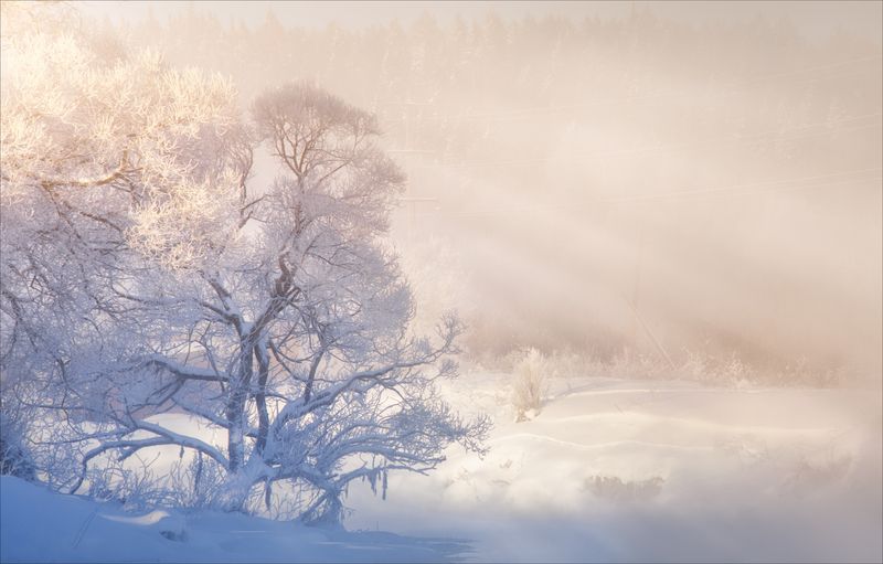 *** фото превью