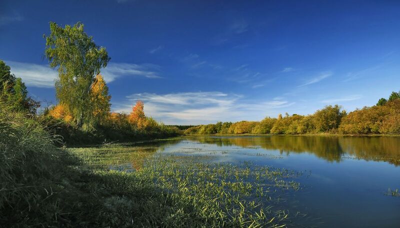 ... фото превью