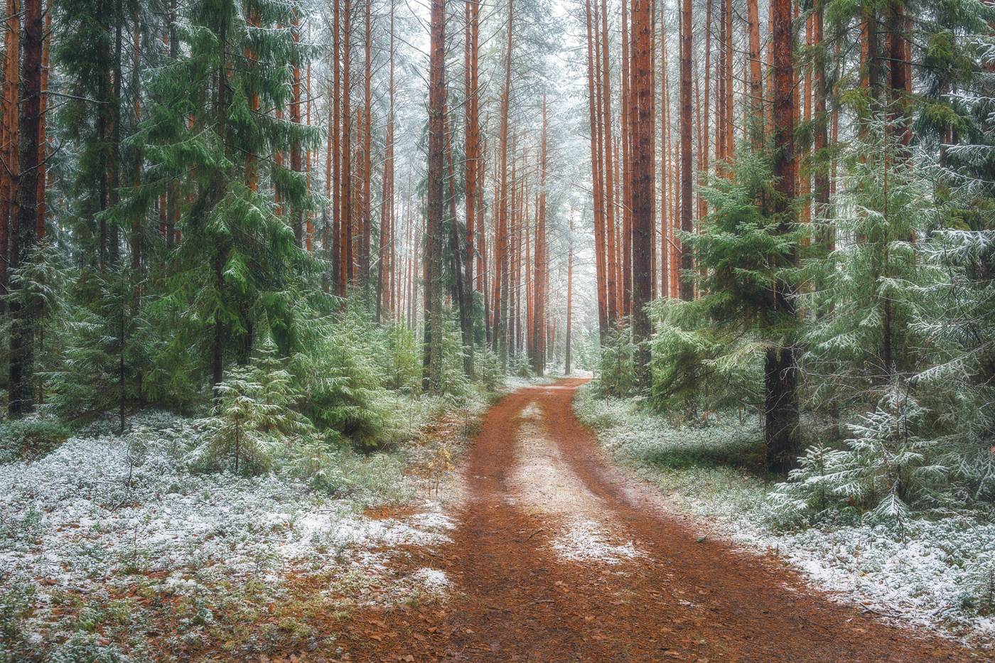 , Михаил Устюжанин