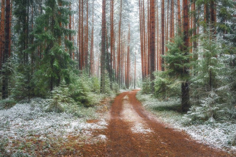 Приближение зимы фото превью