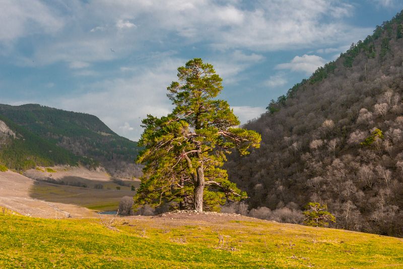 Ущелье Маруха. КЧР. фото превью