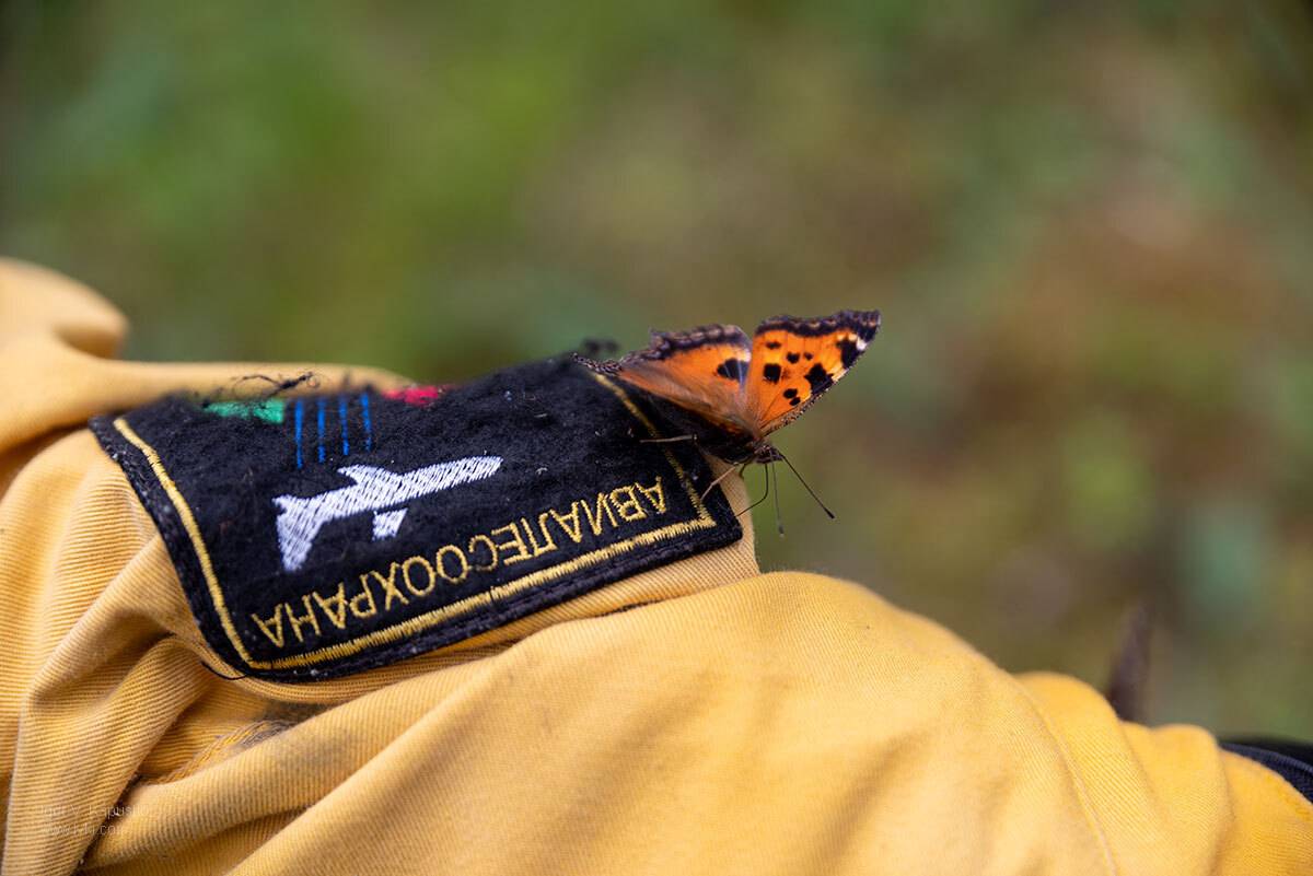 , Капустин Игорь