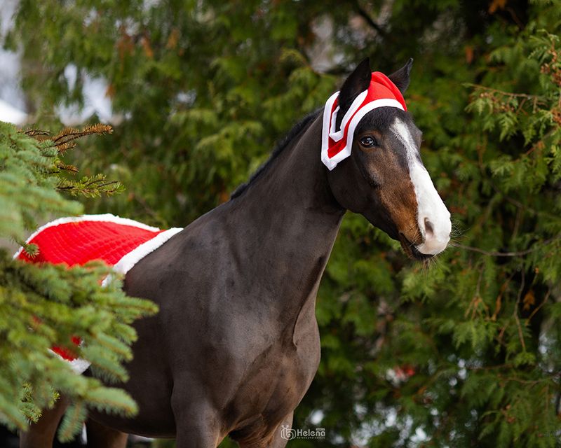 Праздник к нам приходит фото превью