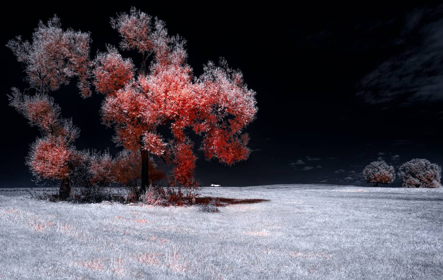 путешествия по инфракрасному миру,  Sixten (Сергей)