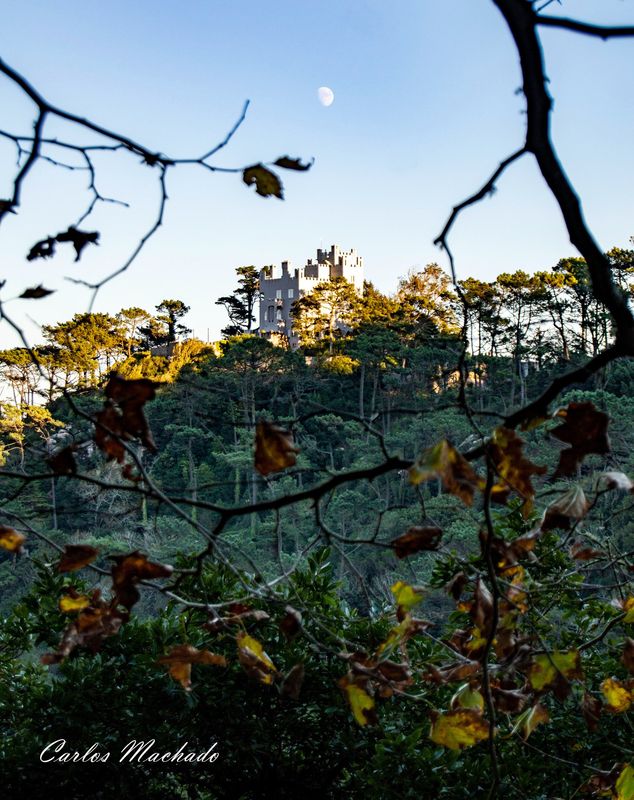 Castels, Landscaps, Nature Montain of Sintra фото превью