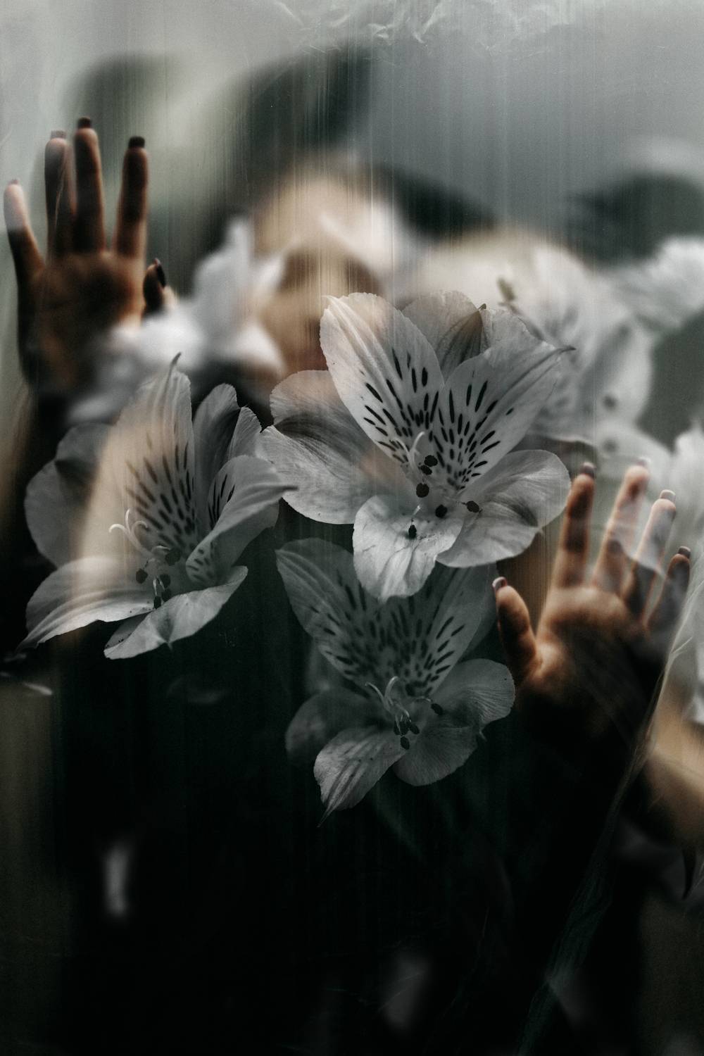 , Шарабанов Дмитрий