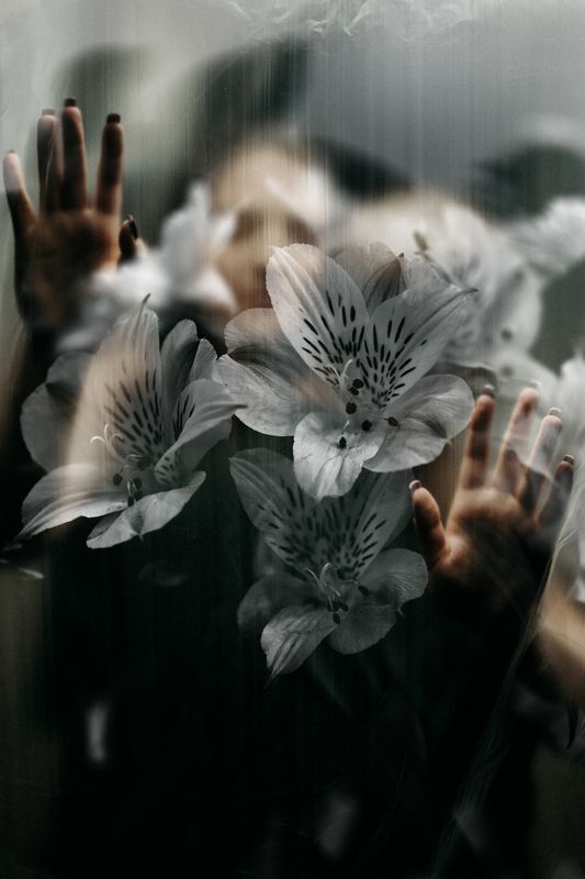 Цветы и руки фото превью