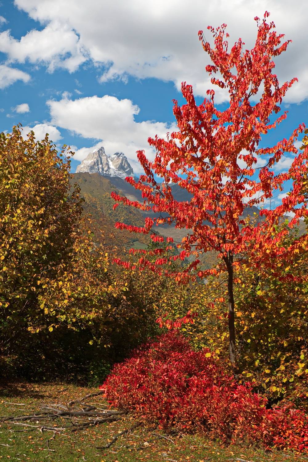 грузия, сванетия, ушба, Виктор Гурков