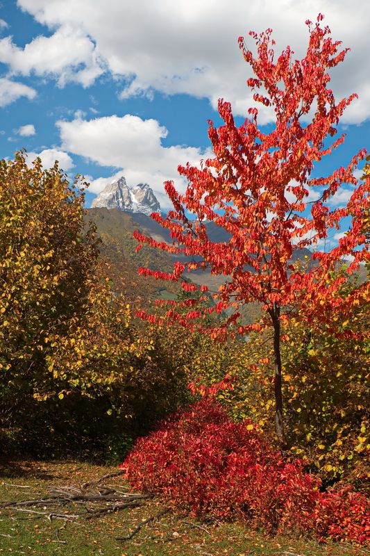 Яркий наряд фото превью
