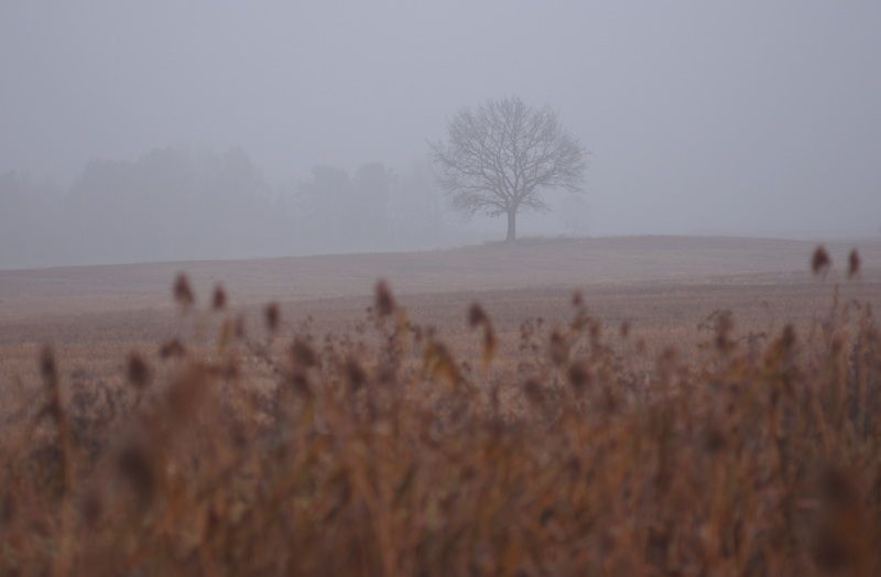 Осенний пейзаж фото превью