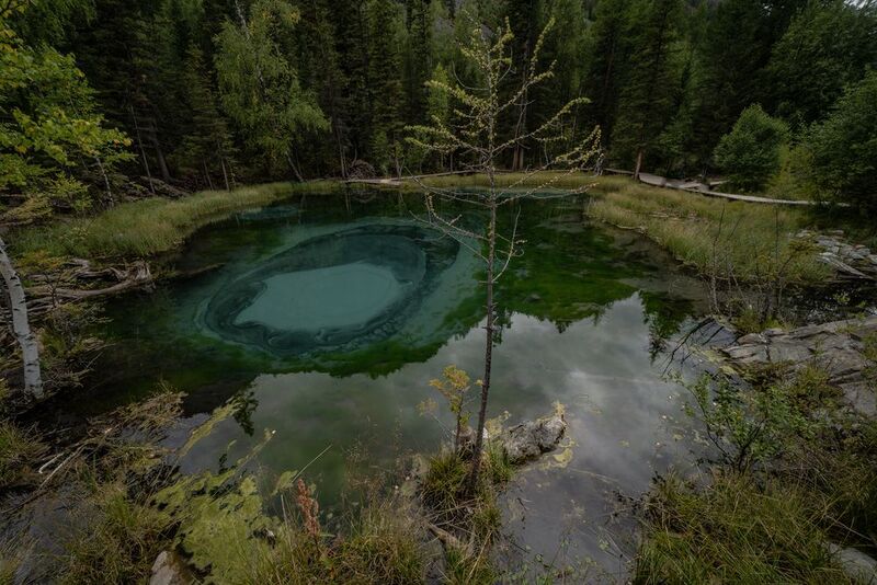 Россия, Республика Алтай, Улаганский район,  Гейзерное озеро Гейзерное озеро фото превью